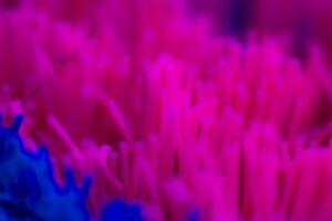 Abstract background texture plastic detail red and blue line pattern with noise photo