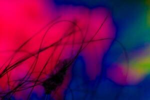 Abstract background texture plastic detail red and blue line pattern with noise photo