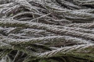 texture of mop cloth close up, abstract background mopping the floor photo