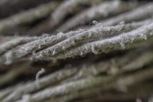 texture of mop cloth close up, abstract background mopping the floor photo