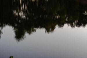 Reflection in the water with reflection of the sky and trees photo