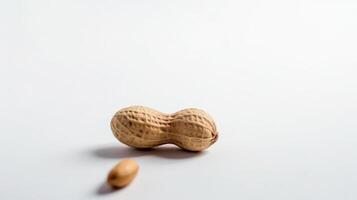 A peanut and a nut are on a white surface photo