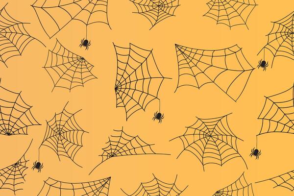 Seamless pattern Halloween spider web with spider. Frame, background for decoration. Handmade. illustration.