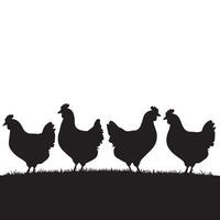 Set of Chicken silhouettes isolated on a white background vector