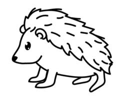 A hedgehog is standing in a line drawing vector
