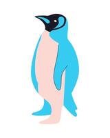 A penguin is standing in front of a white background vector