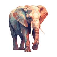 An elephant is standing in front of a white background vector