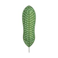 A green leaf with dots on it vector