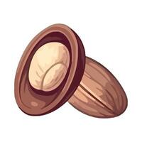 Two nuts are shown in a cartoon style vector
