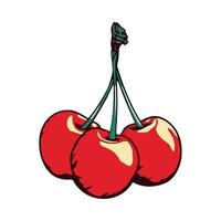 Three cherries on a white background vector