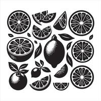 Lemon slice shape set. Lime black symbol collection. Citrus fruit whole, half and pieces silhouette group. isolated on white background vector