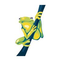 A frog is hanging on a branch vector