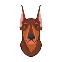 A doberman dog head on a white background vector