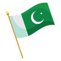 Pakistan flag illustration vector