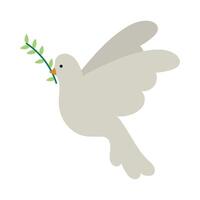 A white dove with an olive branch in its beak vector