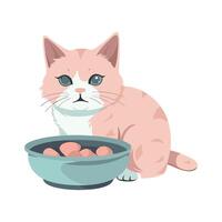A cat sitting next to a bowl of eggs vector