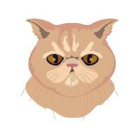 A cat with big eyes and a big nose vector