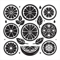 Lemon slice shape set. Lime black symbol collection. Citrus fruit whole, half and pieces silhouette group. isolated on white background vector