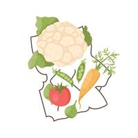 The vegetables are in the package. cabbage, carrots, tomatoes, peas, spinach vector