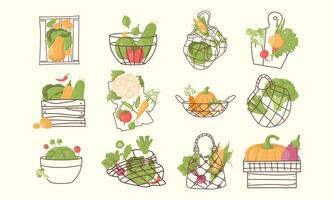 set of vegetables in string bags, tarts, boxes. Reusable bags, boxes. Reasonable consumption vector
