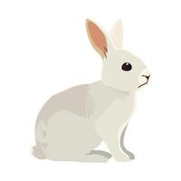 A white rabbit sitting on a white background vector