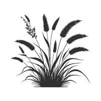 Silhouette of grass and reeds on a white background vector