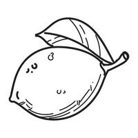 A lemon is drawn in black and white vector