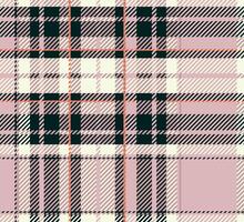 Plaid pattern illustration. Editable art for decoration, fabric printing, etc. vector
