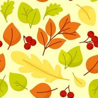 Autumn seamless pattern with leaves and berries vector