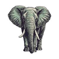 An elephant is standing in front of a white background vector