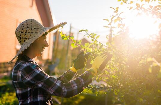 Side view of joyful young caucasian woman gardener cuts unnecessary branches and leaves from a tree with pruning shears while processing an apple tree in the garden. Gardening and hobby concept photo