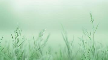 Green grass in a field with a blurry background photo