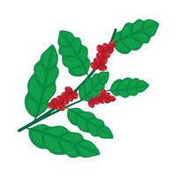 A branch with red berries and leaves vector