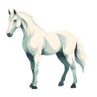 A white horse standing on a white background vector