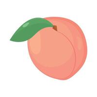 A peach with a leaf on it vector