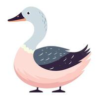 A cartoon duck with a black beak and pink feathers vector