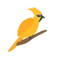 A cartoon bird sitting on a branch vector
