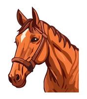 Horse head illustration vector