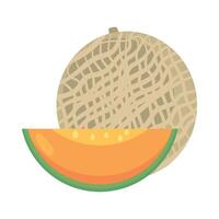 A melon and a slice of it are shown vector