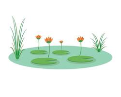 illustration of water lily flowers in a pond vector