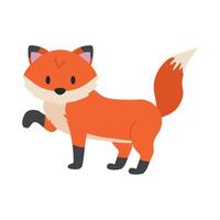 Cute fox illustration on white background vector
