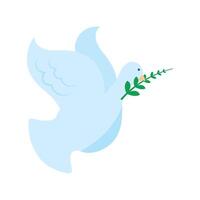 A blue dove with an olive branch in its beak vector