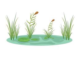 illustration of a pond with grass and water lily vector