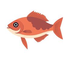 Fish illustration isolated on white background vector