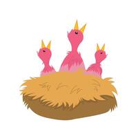 Three pink birds in a nest with two babies vector