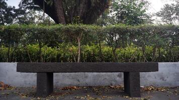 Bench in the park with trees and bushes in the background in the morning. photo