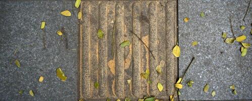 Fallen leaves on the paving floor in the garden. Autumn concept. photo
