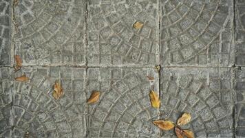 Stone floor texture background with autumn leaves, close up of stone floor. photo