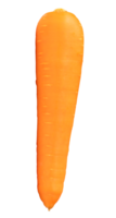 Top view of fresh orange carrot isolated with clipping path in file format png
