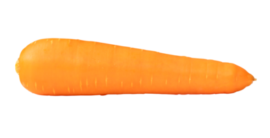 Side view of fresh orange carrot isolated with clipping path in file format png